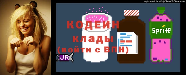 спиды Арсеньев