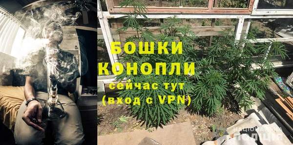 гидра Армянск