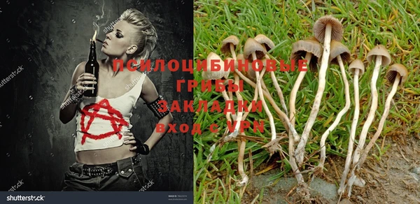 MESCALINE Баксан