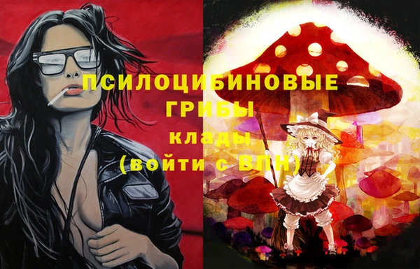 спиды Арсеньев