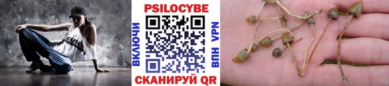 где можно купить   Ужур  Псилоцибиновые грибы MAGIC MUSHROOMS 